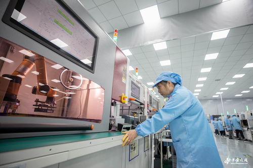 安徽合肥 汽車電子研發生產忙，計算機軟件技術服務賦能產業新生態